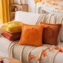 Cream White Pumpkin Fall Pillow Covers 20"x20" Set of 2, Embroidered Faux Fur Decorative Throw Pillow Covers for Couch Soft Fluffy Plush Cushion Cases for Farmhouse Halloween Home Decor