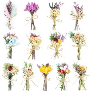 Dried Flowers - 13 PCS Mini Dried Flower Bouquet, Natural Flowers Forget Me Not Myosotis Sylvatica Babysbreath, Floral Plant Flower for Crafts DIY Photo Props Gift Dcor