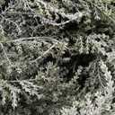 Nearly Natural 5ft Artificial Cedar Garland – Realistic Faux Greenery Vine for Fireplace Mantle, Holiday Table Runner, and Christmas Home Decor – Green