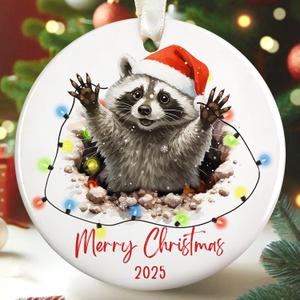 Racoon Ornament - Racoon Gifts for Lovers, Women, Men - Funny Animals Ornaments for Christmas Tree - Round Ceramic Christmas Hanging Ornament 2025, Raccoon