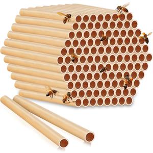 250 Pcs Phragmite Reed Mason Bee Tubes Set Bee Hotel Nest Box Pollinator Bee Box for Mason Bee Houses Natural Phragmite Bee Nest Bees Supplies Refill Your Mason Bee House Bee Hive