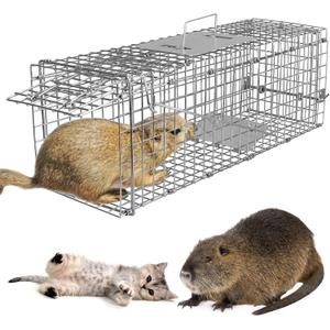 iMounTEK Humane Live Animal Trap Animal Trap 32X12.5X12In Large Humane Cat Trap Catch Release Animal Rodent Cage Collapsible Galvanized Wire for Small Raccoons Beavers Groundhogs Foxes Armadillos (Silver)