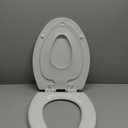 Mayfair NextStep2 Slow-Close Toilet Seat with Built-In Toddler Potty Training Seat, Removable, White, Elongated