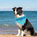 Dog Bandana, Shark Print Boy Bandana Pet Kerchief 1PC Washable Cotton Square Dog Scarfs for Small Medium Large Dogs