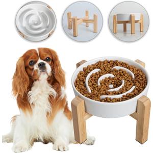Elevated Slow Feeder Dog Bowl - Ceramic Maze Food Dish with Bamboo Stand - Raised Feeding Bowl for Fast Eaters - Ideal for Small and Medium Dogs - White - 6.7 inch (1.25 CUP)
