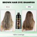KAISASA Brown Hair Dye Shampoo 3 in 1Argan Herbal Hair Color Shampoo Covers Gray Hair for Women and Men (16.9 fl.oz Brown)