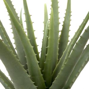 Nearly Natural Aloe Succulent Artificial Plant，10" Tall Realistic Agave Plant with Stone Pot， Green Faux Aloe Agave Plant for Home Shelf Office Décor