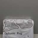 Ophanie Area Rugs for Bedroom Living Room, Grey Fluffy Fuzzy Shag Shaggy Soft Plush Carpet, 4x6 Indoor Floor Gray Rug for Kids Home Dorm Decor Aesthetic