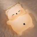 Sleeping Snoring Bear Night Light Nursery lamp for Kids,3-Level Dimmable,30Min Auto-Off Timer,Rechargeable Type-C, BPA-Free & Food-Grade Silicone for kid room bedroom Decor kids gift