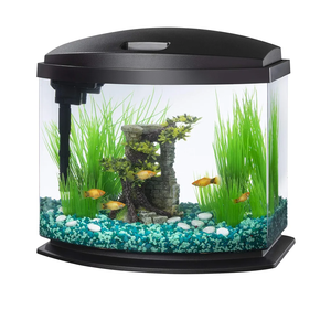 Aqueon LED MiniBow Small Aquarium Fish Tank Kit with SmartClean Technology, Black, 5 Gallon