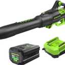 Greenworks 80V (770 CFM/190 MPH) Brushless Cordless Leaf Blower, Commercial-Grade Power for Autumn Leaf Composting, Spring Pollen Cleanup and Post-Snow Debris, Includes 4.0Ah Battery & Rapid Charger