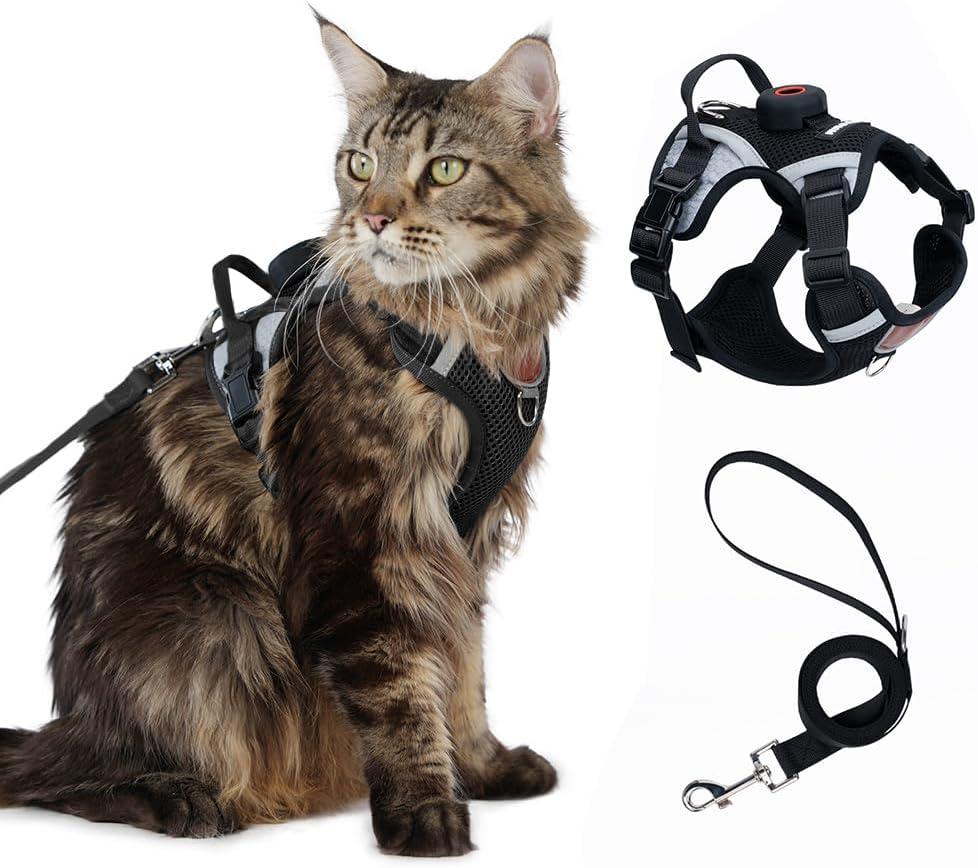 Cat Harness Leash Set with AirTag Holder, Upgraded Escape Proof Vest with Lead for Large Cat Small Dog Puppy Outdoor Walking, Soft Breathable Mesh Jacket with Reflective Strip (Black, L)