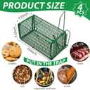 Qualirey 4 Pcs Humane Rat Trap Chipmunk Squirrel Cage Trap 4.33 x 4.33 x 9.06 Inches Foldable Rodent for Small Live Animal Voles Hamsters Catch and Release for Kitchen Yard Garage (Green)