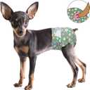 Pet Soft Dog Diapers Female, Disposable Female Dog Diaper, Doggie Diapers for Cat Puppy with Adjustable Foam Tail Hole(Green,12M)
