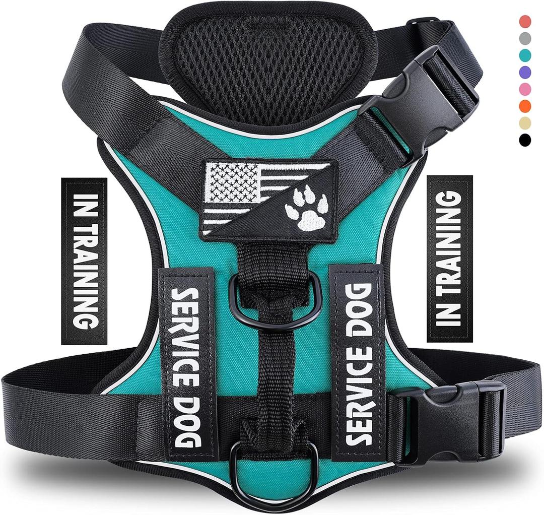 Service Dog Harness, Reflective Dog Vest Harness with 5 PCS Patches, Adjustable Soft Oxford Pet Harness, Inner Layer Mesh, Easy to Control for Dogs (Medium (Pack of 1), Turquoise)