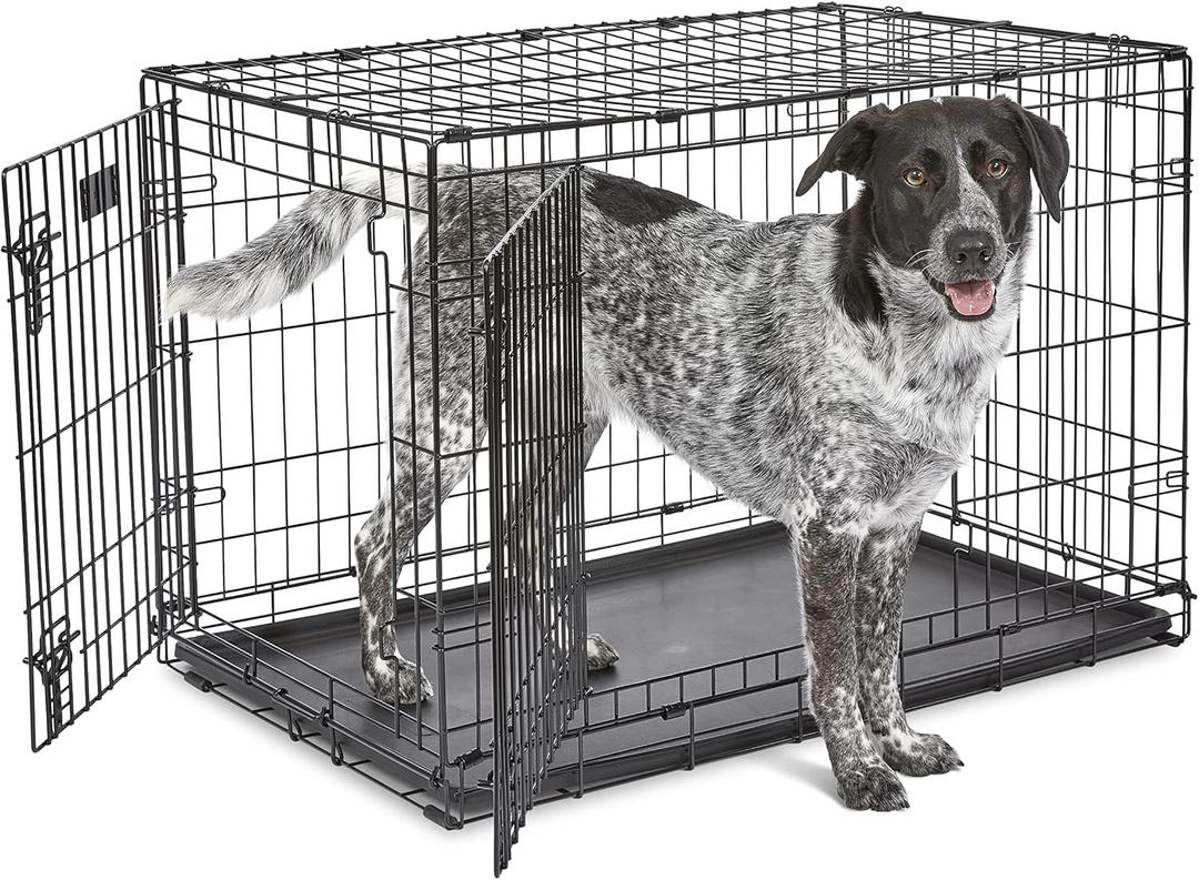 MidWest Homes for Pets 36-Inch Two-Door iCrate Folding Dog Crate with Divider Panel, Leak-Proof Tray & Secure Latches  Metal Wire Kennel for M-L Breeds  Portable, Durable & Easy to Assemble