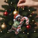 Cute Chocolate Lab Hugging Candy Cane 2D Flat Acrylic Ornament - Christmas Tree Decoration, Unique Animal Keepsake 2025