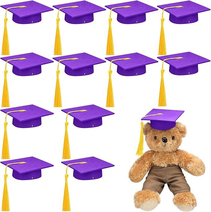 12 Pcs Mini Graduation Cap with Tassel Mini Plush Mason Jar Small Animal Bachelor Hat Photo Prop Party Supply 4.33 x 4.33 Inch