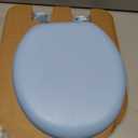 Mayfair Padded Toilet Seat, Cushioned Soft Vinyl over Wood Core Seat, Secure Hinges, Easy Clean, Made in USA, Round, Sky Blue