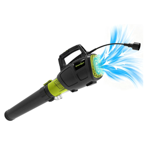 Grasstigon 13A Electric Leaf Blower Corded, 600CFM / 250MPH, 2 Speed Modes | 120V Powerful Lightweight Handheld Blowers for Lawn Care, Patio Cleaning, Blowing Leaves, Dust (BLACK & GREEN)