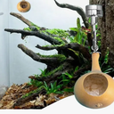 NENHEIONI Handmade Natural Gourd Spider Enclosure，Ideal Habitat for Jumping Spiders and Small Pets includes Swing and Neodymium Magnet Perfect Spider House, Yellow, 4Pack