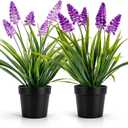 MONOID 2 Pack Artificial Hyacinth Plants - Realistic Fake Muscari Flowers in Black Pots, Small Desktop Decor Set for Home Office Bathroom, No Water Needed, Purple