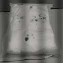 2 x Halloween Pillow Covers 18x18 inch Set of 2 White Cat Ghost Throw Pillow Cases Soft Plush Faux Fur Wool Couch Cushion Case for Home Decor Chair Sofa Bedroom Living Room (Cat Ghost)