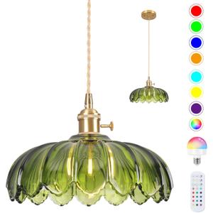 Battery Operated Pendant Light,Vintage Light Fixtures RGB Rechargeable Light Bulb 2500mAh 9.8in with Remote Control Wireless Adjustable Chandelier for Kitchen Island Hallway 1 Light