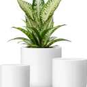 Vancasso Ceramic Plant Pots, 4+5+6 inches, Set of 3, Planters with Drainage Hole, Flower Pots Planters Pots for Indoor Plants, Modern Indoor Decorative Garden Pot, Home Decor, White