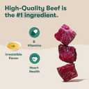 Jinx Bone Broth Stew for Dogs - Beef & Vegetables Recipe - Grain-Free Wet Dog Food & Topper for Picky Eaters - Promotes Lean Muscle Growth, A Healthy Coat & Improved Digestion - 13 Oz, 12 Pack