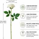 120 Pcs White Rose Artificial Flowers Bulk, Ivory Silk Fake Roses with Long Stem for Wedding Decoration, Bridal Bouquets, DIY Flower Wall, Party Table Centerpieces, Home Decor