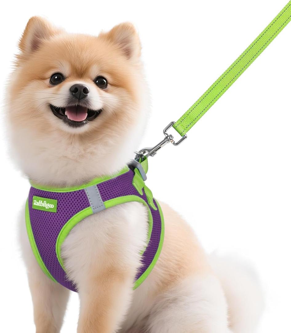 rabbitgoo Dog Harness Small Sized and Leash Set, Step-in Breathable Pet Harness, Soft Walking Reflective Puppy Vest for Small Dogs, Purple & Green, M (M (Chest: 16.0 - 18.5"))