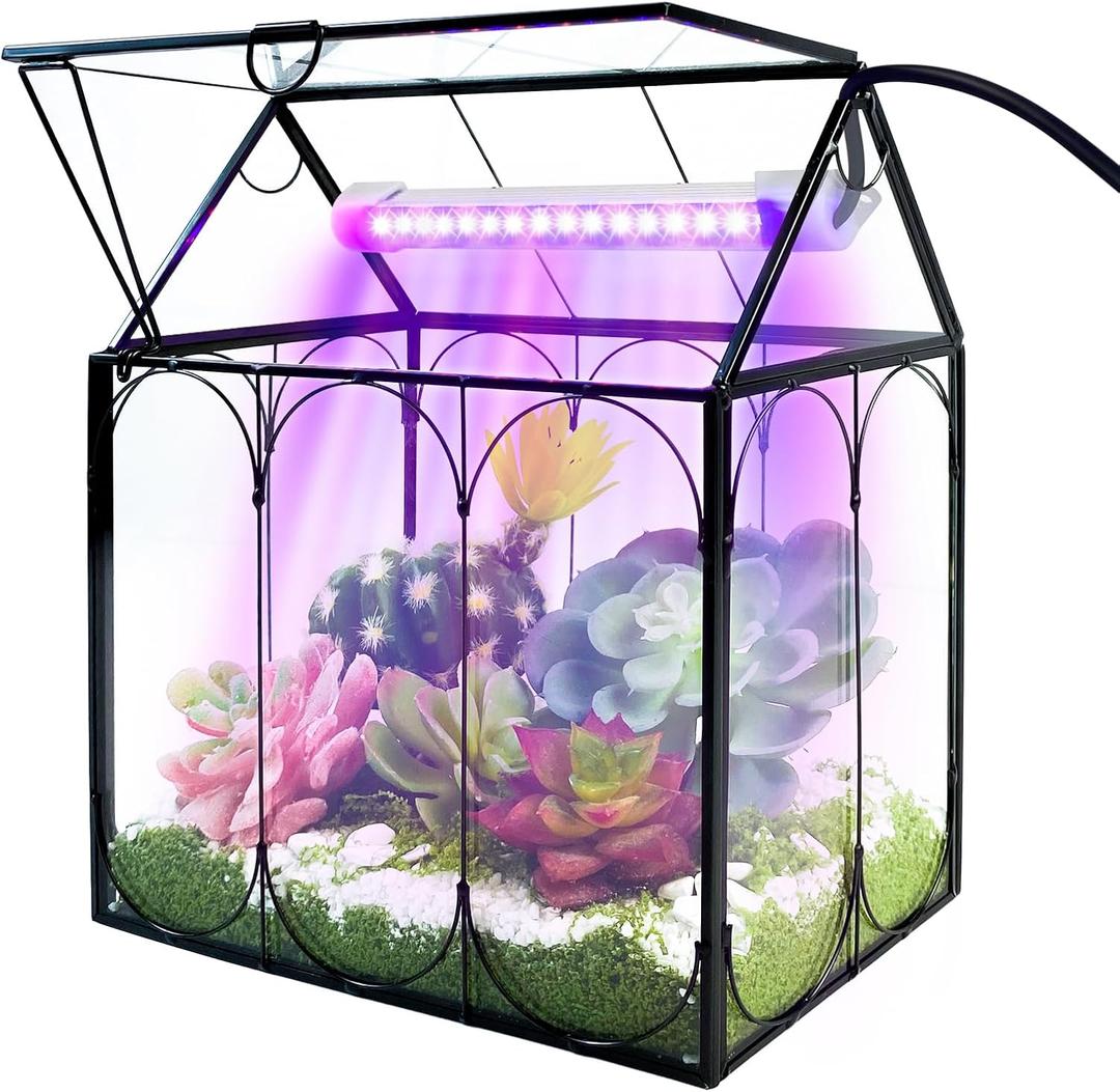Plant Terrarium Kit with Grow Light, Rifny Small Glass Terrarium Jar with Absorbent Mat and Lid for Venus Fly Trap Succulent Live Air Plants Indoor Home Office Decor (Black, 7.1 x 4.8 x 8.8 inch)