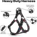 QQPETS Dog Harness Leash Set Adjustable Heavy Duty No Pull Halter Harnesses for Breed Dogs Back Clip Anti-Twist Perfect for Walking, XS