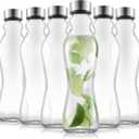 JoyJolt Spring Glass Water Bottles Set of 6-18 oz Glass Bottles with Stainless Steel Caps - Glass Drinking Bottles with Leakproof Lids - Reusable Glass Juice Bottle - Container Bottle Set