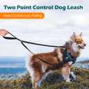PetBonus Two Point Control Dog Leash, Works with No Pull Harnesses, No Tangle Training Leashes, Soft Padded and Reflective Walking Lead, Converts to Single Lead for Medium Large Dogs (Black)