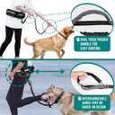 PetAmi Hands Free Dog Leash, Dog Running Leash Belt Bag for Walking, Jogging, Dog Waist Double Zipper Pouch with Poop Bag Dispenser, Dual Padded Handles Reflective Bungee Leash, Double (Black)