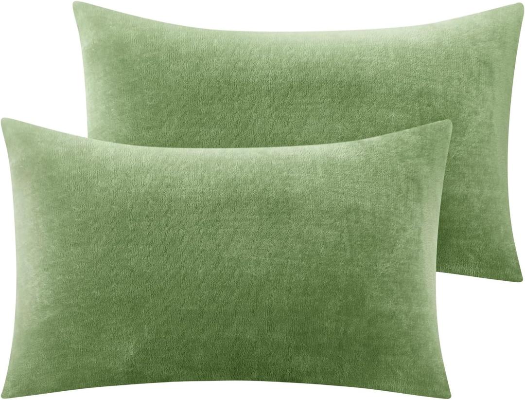 BEDELITE Flannel Pillowcases Standard Set of 2, Super Soft Fleece Pillow Case Cover with Zipper for Bedroom, Sofa, Couch,Luxury Cozy Velvet Pillow Shams for All Seasons(20x26 Inches, Sage Green)