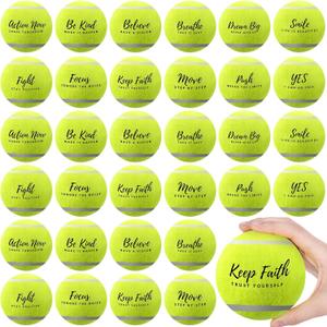 Soulchen 48 Pack Pressureless Tennis Balls Inspirational Training Tennis Balls Bulk Coach Beginner Practice Supplies Pet Dog Toys Indoor Outdoor