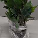 Fake Plant 15.7" Artificial Plants Indoor Small Ficus Potted Plants Silk Plants Faux Topiary Plant for Home Bathroom Bedroom Dining Room Kitchen Window Shelf Desk Centerpieces Tabletop Decor (Green)