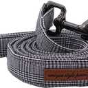 Unique Stlye Paws Strong Dog Leash with Soft & Comfortabel Handle Multipurpose Leashes for Small Medium Large Dogs and Cats (XS, Gentry)