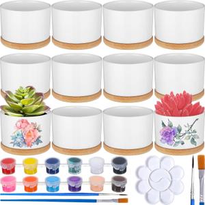 SiliFine 11 Sets DIY Ceramic Succulent Pots Painted Ceramic Flower Pots with Drainage Holes, Paints, Brushes, Palettes, Trays for DIY Event Adults Craft Birthday Gifts