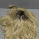 Linfairy Short Halloween Costume Cosplay Wig for Women (Blonde Ombre)