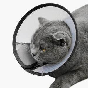 Dog Cone Collar Adjustable After Surgery, Comfortable Pet Recovery Collar & Cone for Large Medium Small Dogs, Elizabethan Dog Neck Collar Plastic Practical