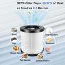 2 Packs DCV5801H Replacement Filter Compatible with DEWALT DCV580/DCV581H 20V MAX Wet Dry Vacuum Cleaner,Updated 4 Foam Sleeve Filters & 1 Brush Washable and Reusable