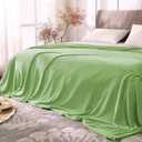 BEDELITE Fleece Blankets Queen Size Grass Green Throw Blankets for Bed, Luxury Plush Cozy Fuzzy Blanket 90x90 inches, Super Soft Warm Lightweight Throw Blanket All Seasons Suitable