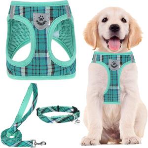PUPTECK Adjustable Dog Harness Collar and Leash Set Step in No Pull Pet Harness for Small Medium Dogs Puppy and Cats Outdoor Walking Running, Soft Mesh Padded Reflective Vest Harnesses, Lake Green S