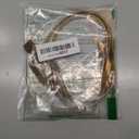 COSYDAYS Gold Dress Belt Strech Metal Belts Fashion Mardi Gras Waist Accessories for Women