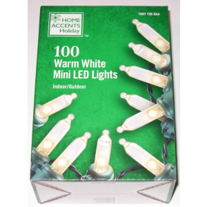 Home Accents Holiday 100ct Warm White LED Mini String Lights w/Green Wire NEW