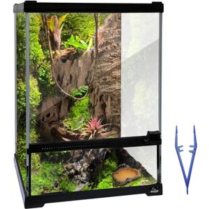 Reptile Glass Terrarium Tank 10 * 10 * 14in, Full View with Front Opening Door,Amphibians Enclosure Habitat Cage for Leopard Gecko Tarantula Young Lizard Hermit Crab Frog Insects Breeding